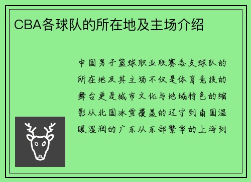 CBA各球队的所在地及主场介绍